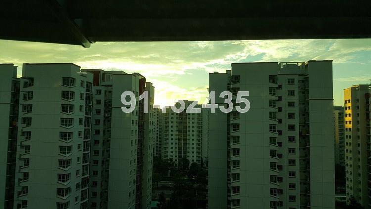 Blk 105C Edgefield Plains (Punggol), HDB 5 Rooms #149140792